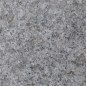 Antico grey granite